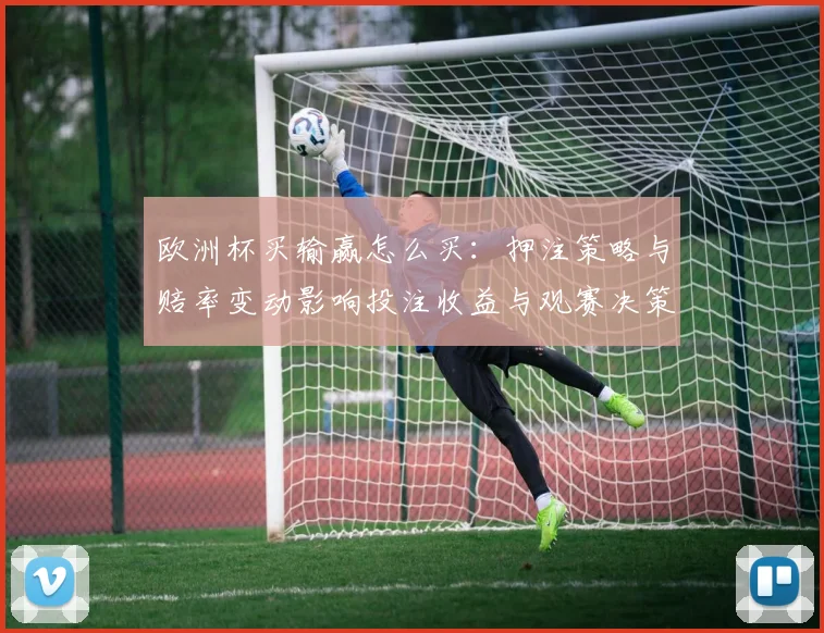 欧洲杯买输赢怎么买：押注策略与赔率变动影响投注收益与观赛决策