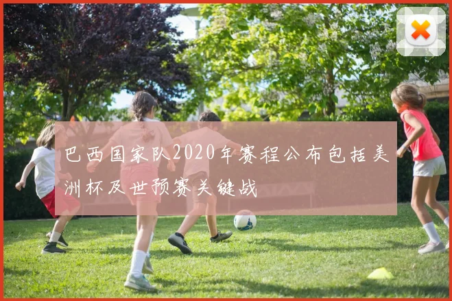 巴西国家队2020年赛程公布包括美洲杯及世预赛关键战