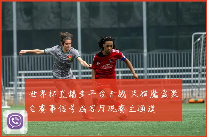 世界杯直播多平台开战 天猫魔盒聚合赛事信号成客厅观赛主通道