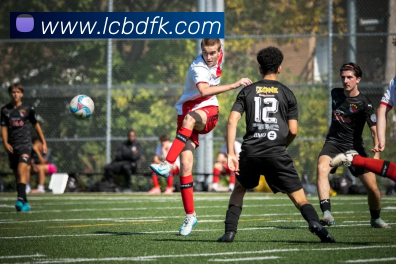 k1体育app官方服务体系