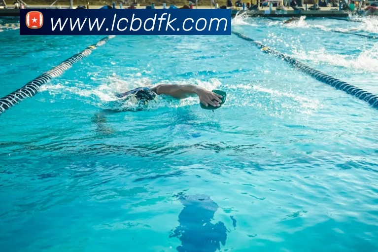 多媒体互动体验