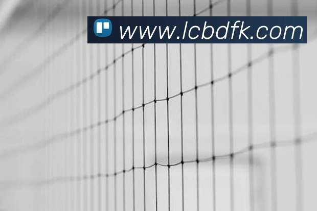 k1体育app官方APP 体育赛事宣传图